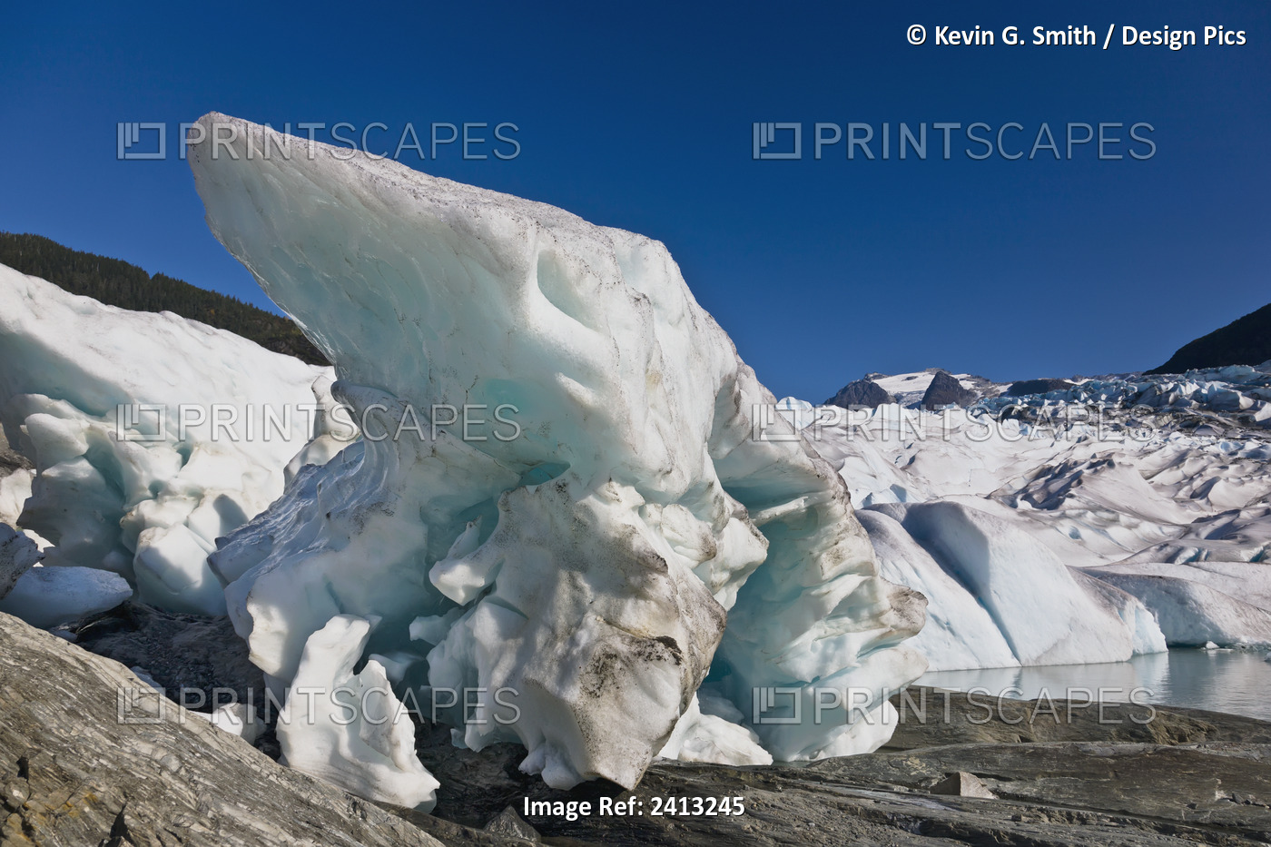 Seracs At The Retreating Edge Of Mendenhall Glacier; Juneau, Alaska, United ...