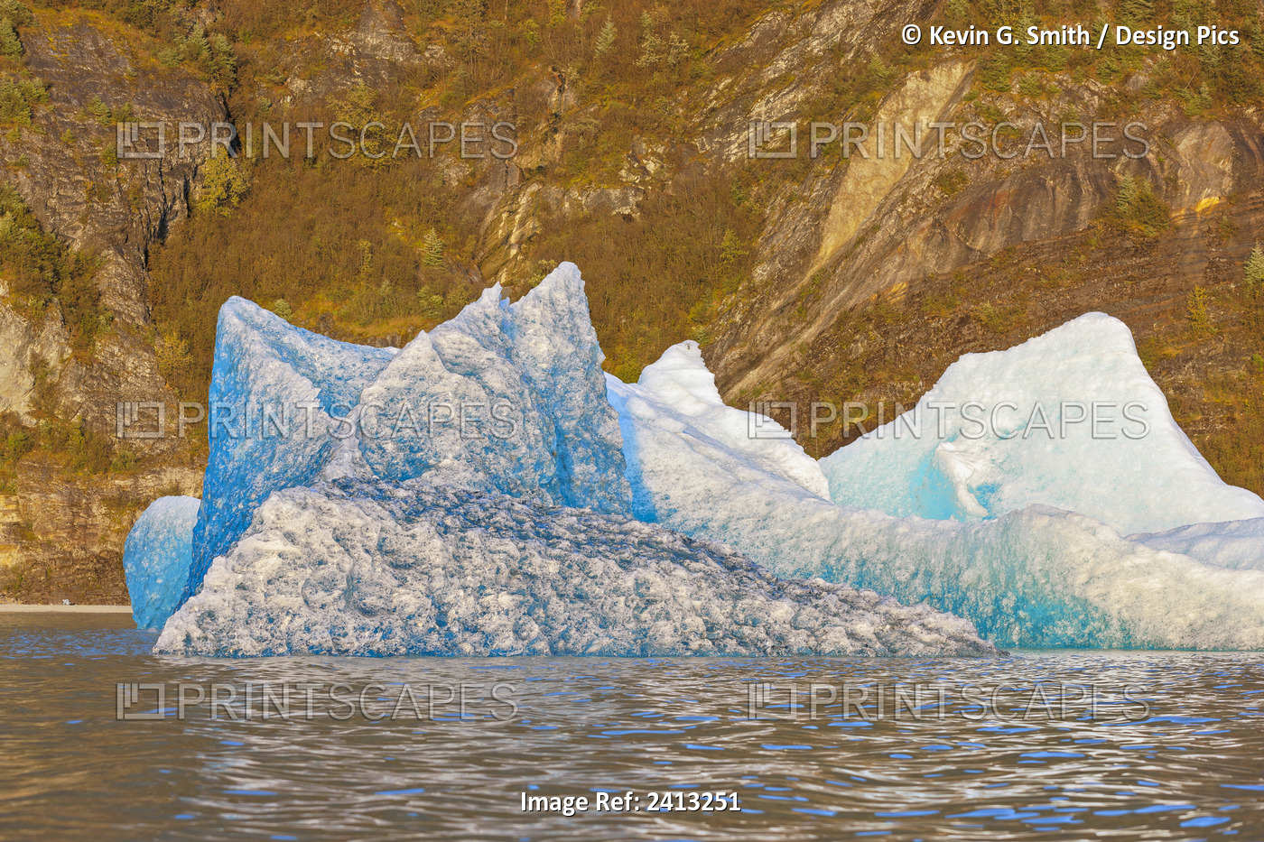 Iceberg Broken Off From The Retreating Mendenhall Glacier Floating In ...