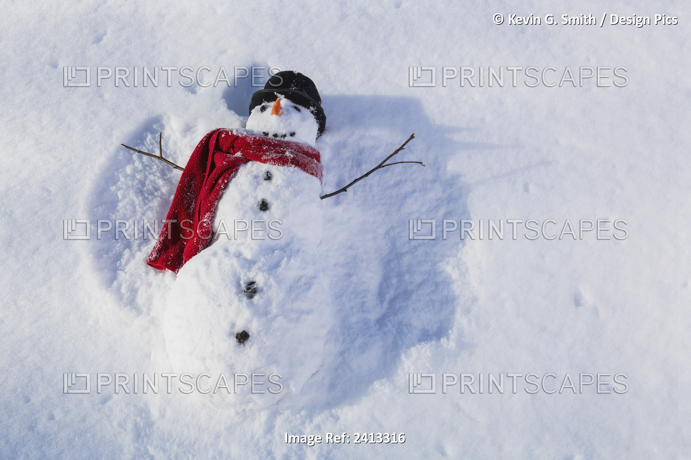 Snowman Wearing A Red Scarf And Black Top Hat Making Snow Angels In The Snow, ...