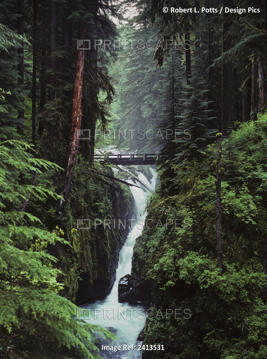 Sol Duc Falls Plunges Down The Cliffs; Forks, Washington, United States Of ...