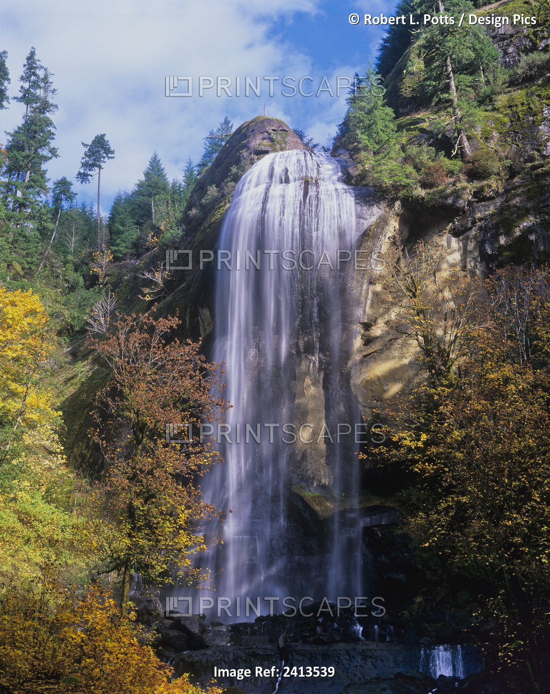 Silver Falls Plummets Down The Cliffs; Allegany, Oregon, United States Of ...