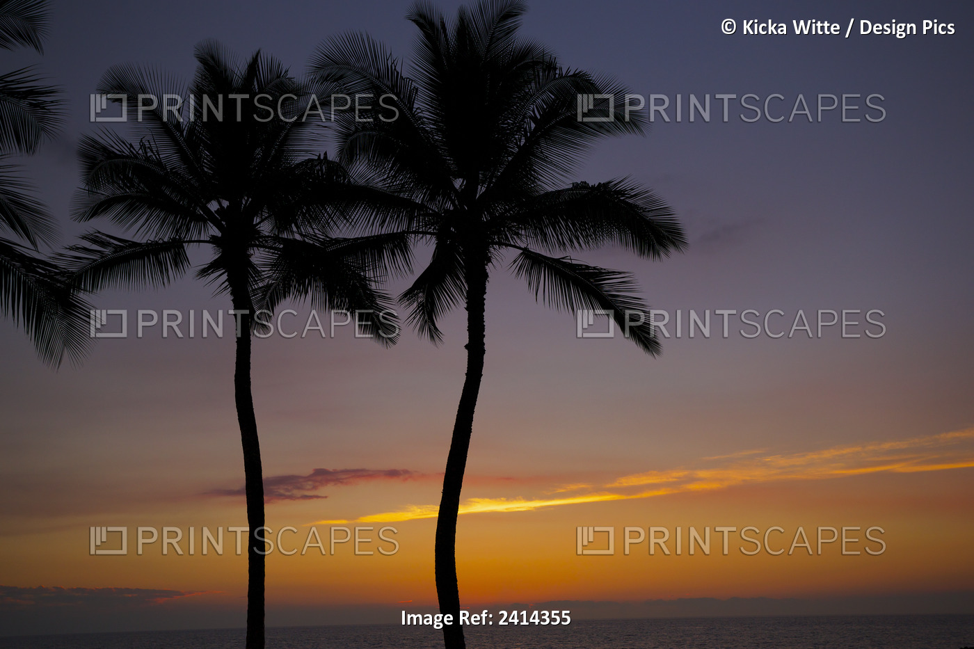 Silhouetted Palm Trees And A Glowing Sunset Over The Ocean; Kauai, Hawaii, ...