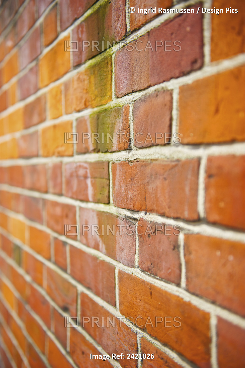 A Brick Wall With Bricks Of Yellow And Green Hues; London, England