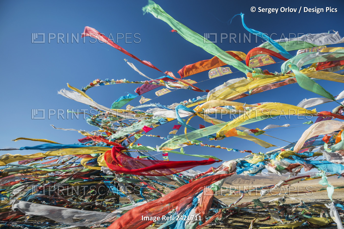 Colourful Tibetan Prayer Flags (Lung Ta) Under The Strong Wind With White ...