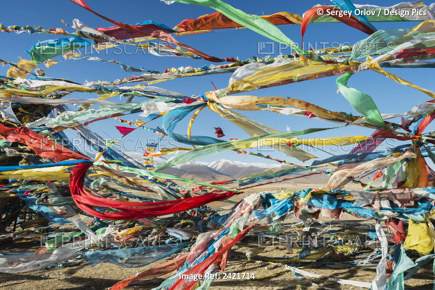 Colourful Tibetan Prayer Flags (Lung Ta) Under The Strong Wind With White ...