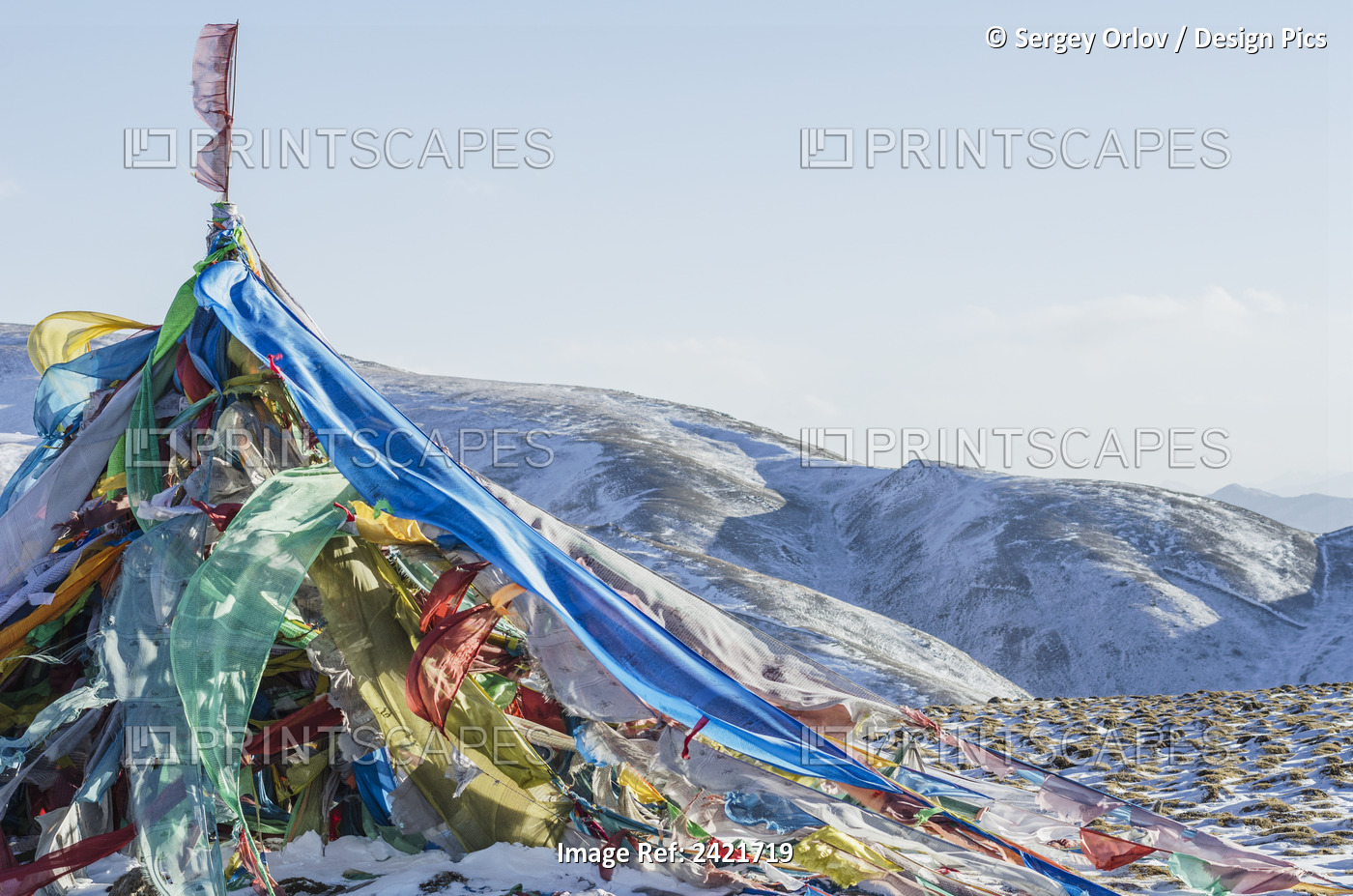 Snowy Landscape With Prayer Flags On A High Altitude Mountain Pass; Tibet