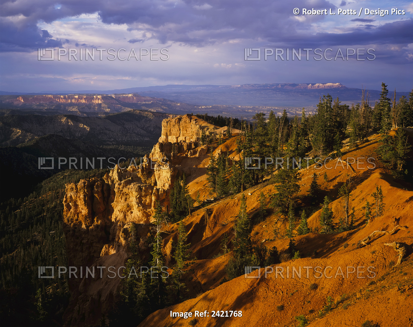 Evening Light Brightens The Ridges At Bryce Canyon National Park; Ruby's Inn, ...
