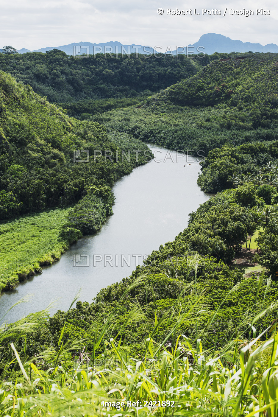The Wailua River Flows To The Pacific Ocean; Kauai, Hawaii, United States Of ...
