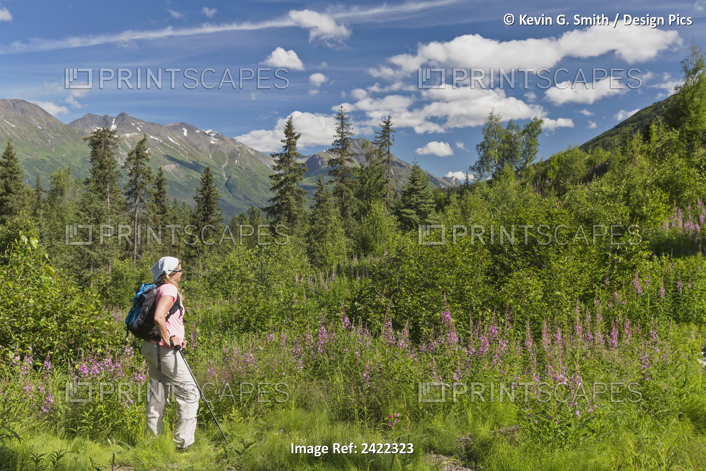 Female Hiker Kenai Mountains In The Back Ground, Moose Pass, Kenai Penninsula, ...