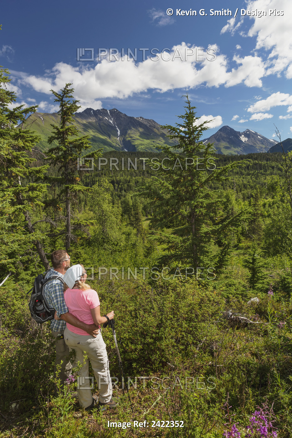Couple Hiking And Enjoying The View, Kenai Mountains In The Back Ground, Moose ...