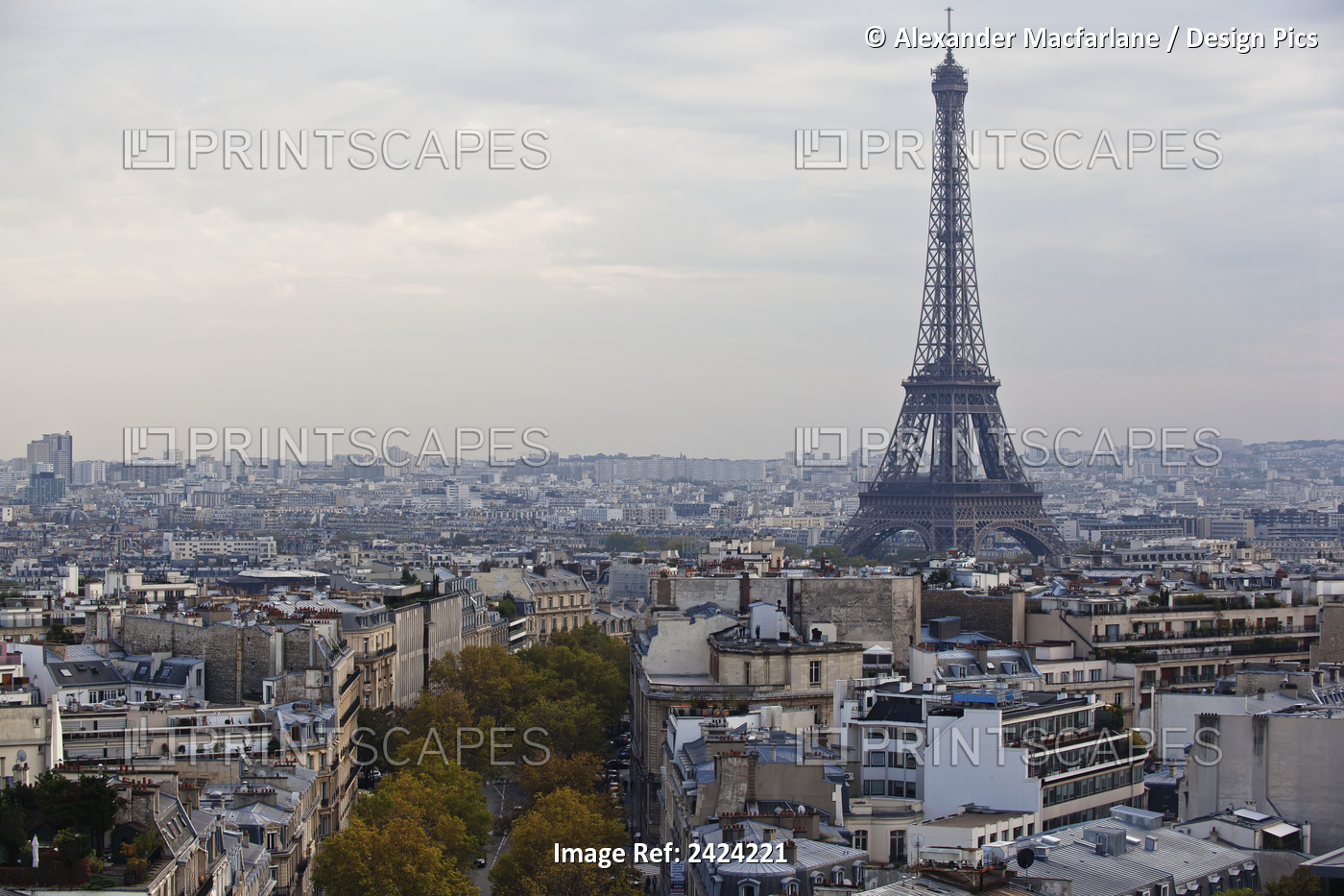 Eiffel Tower And Cityscape; Paris, France