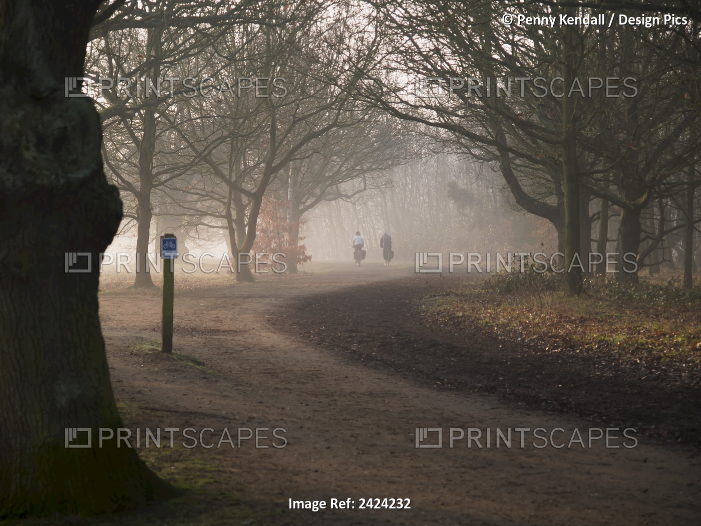 Two Cyclists On A Bike Path Seen Through The Early Morning Mist On An Autumn ...