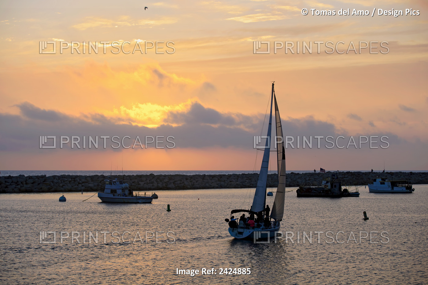 California, King Harbor, Sailboats At Sunset In Redondo Beach.