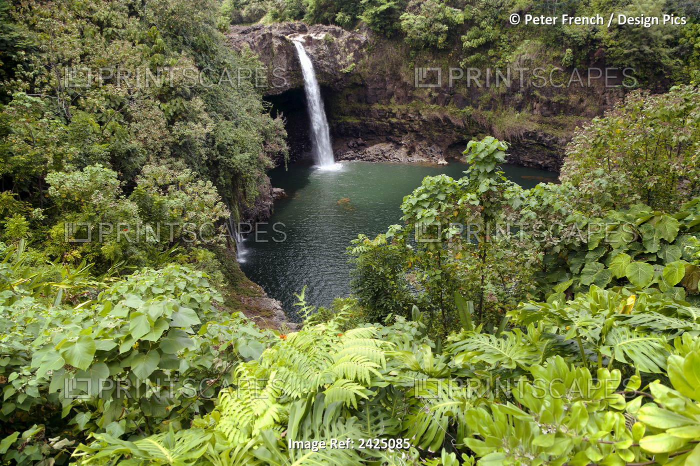 Hawaii, Hilo, Rainbow Falls Surrounded By Lush Greenery.