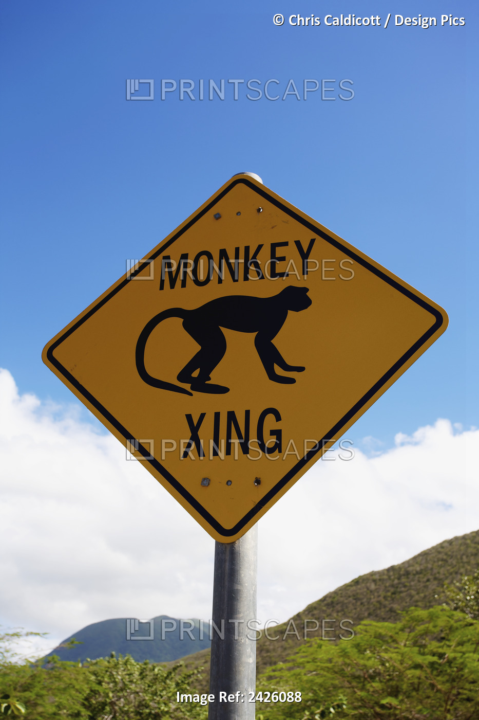 Monkey Crossing Sign; Nesbit Beach, Nevis