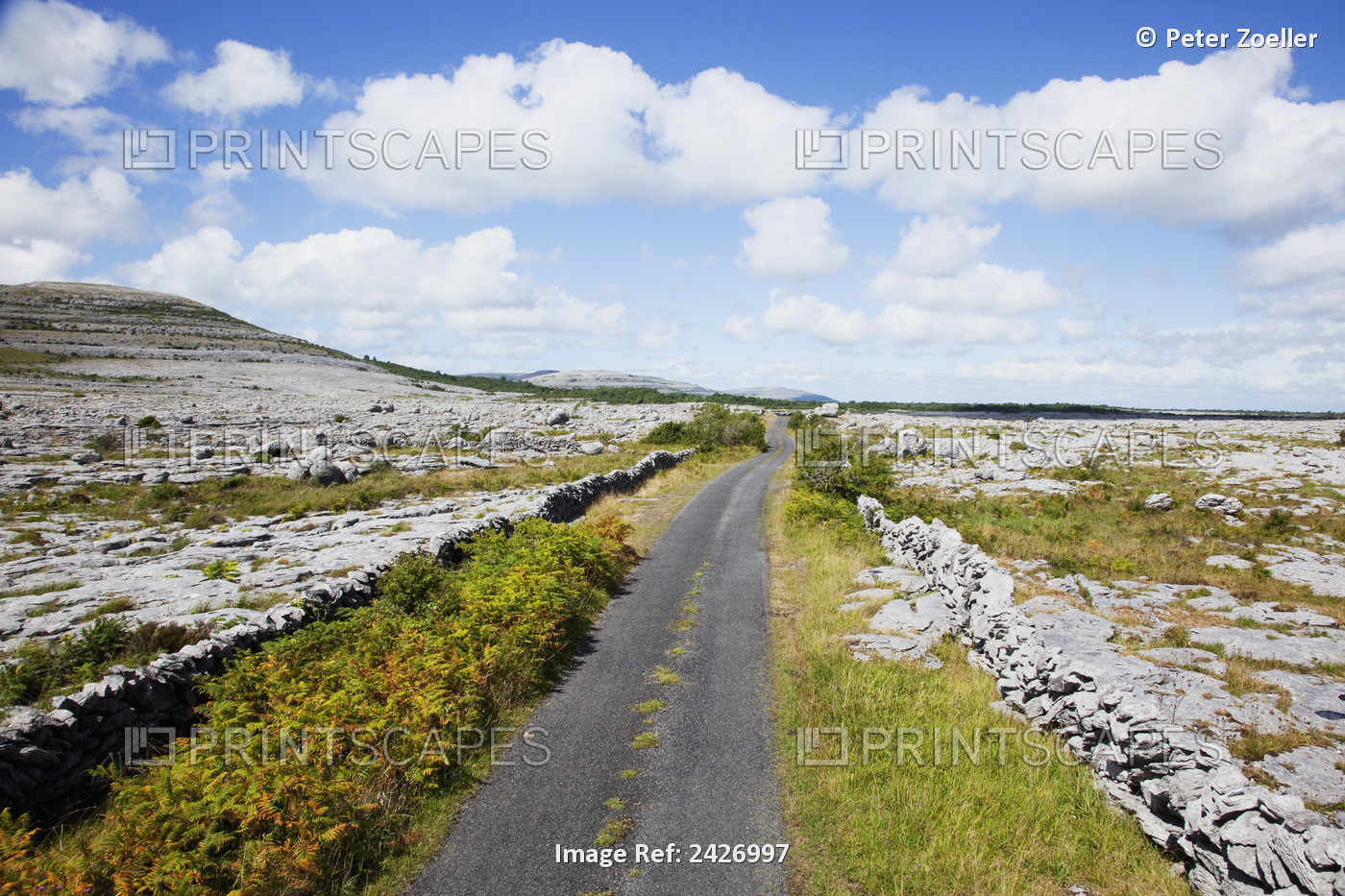A Road In The Burren; County Clare, Ireland