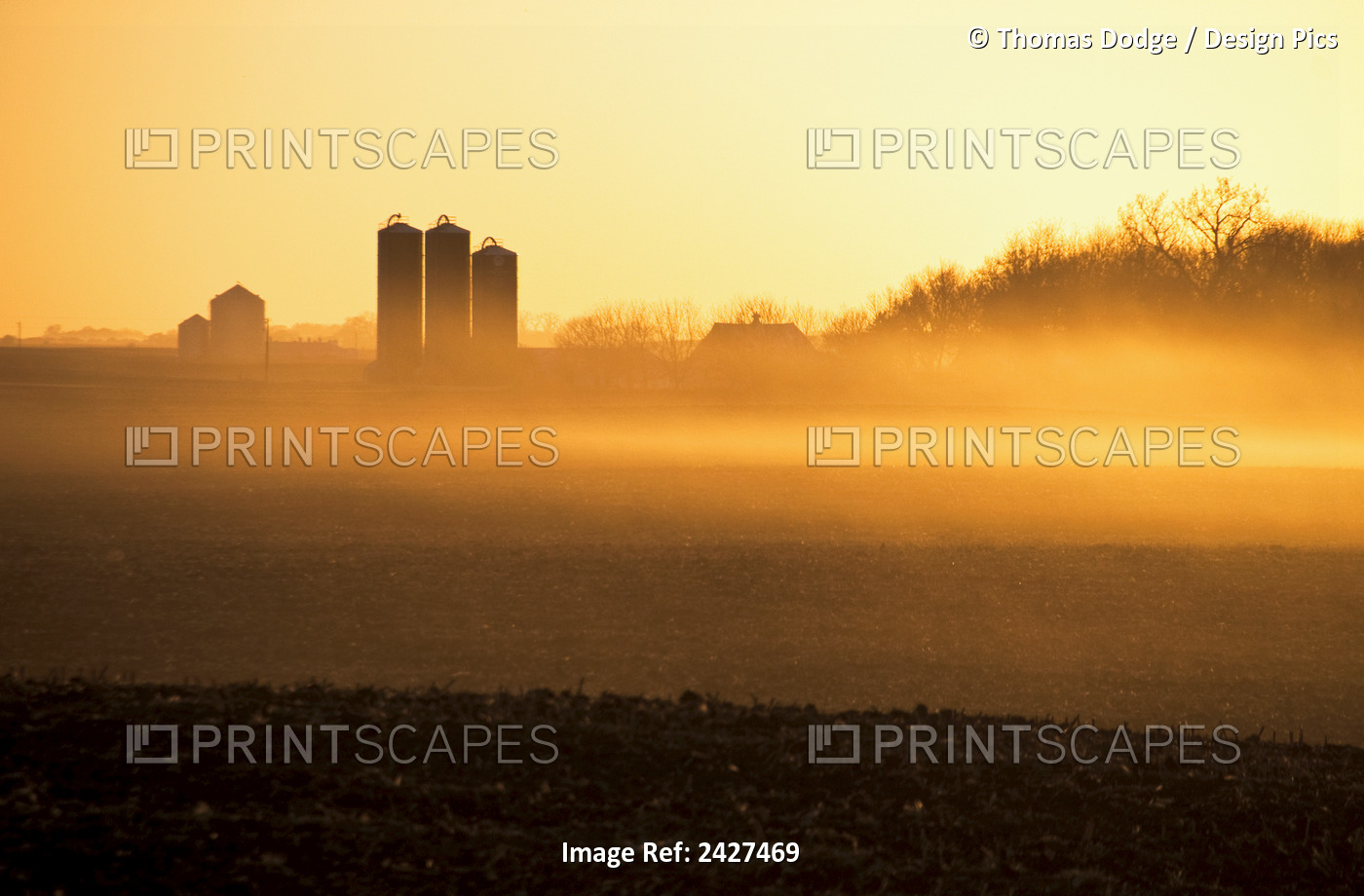 Agriculture - Hazy Sunrise Light On Fallow Cornfields And A Farmstead With ...