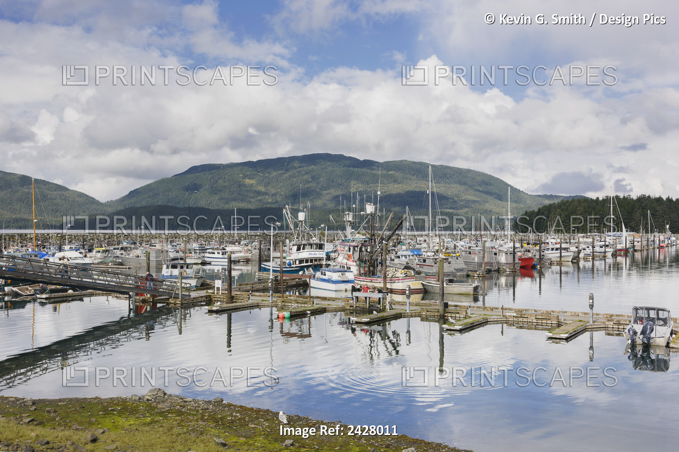 Cordova Small Boat Harbor, Prince William Sound, Southcentral Alaska, Usa.