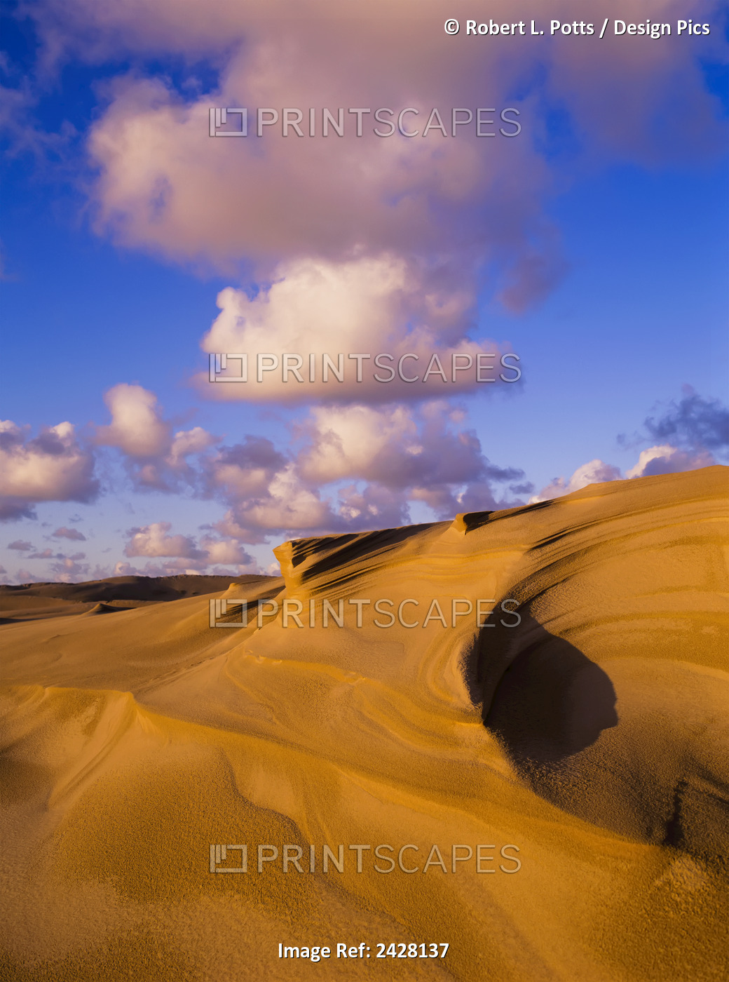 Clouds And Dunes Are Shape-Shifters; Lakeside, Oregon, United States Of America