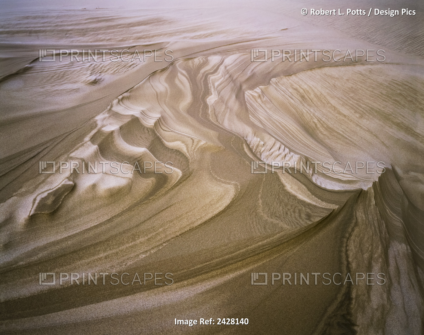 Erosion Reveals Layers Of Sand; Lakeside, Oregon, United States Of America