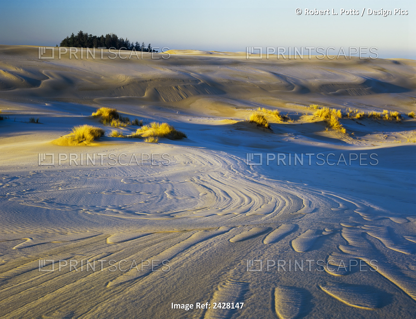 Frost Turns The Sand White In The Winter; Lakeside, Oregon, United States Of ...