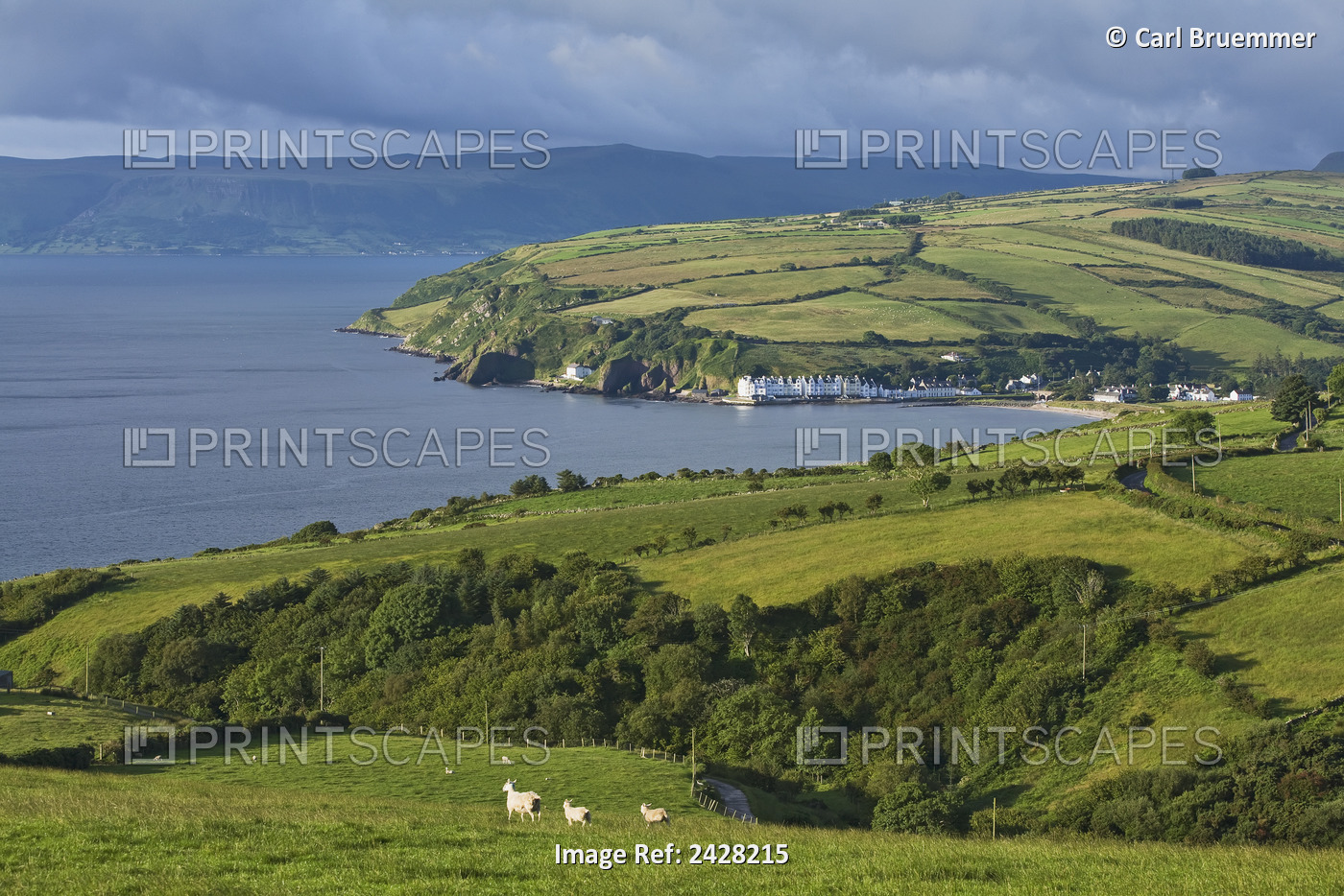Farmland And Bay At Cushendum, Glens Of Antrim; County Antrim, Ireland