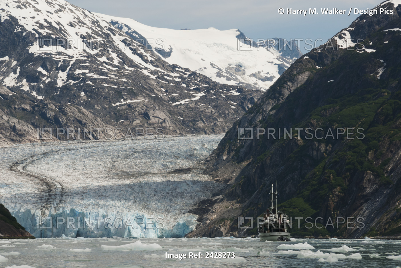 Mv Catalyst In Front Of Dawes Glacier In Endicott Arm Of Tracy Arm-Fords Terror ...