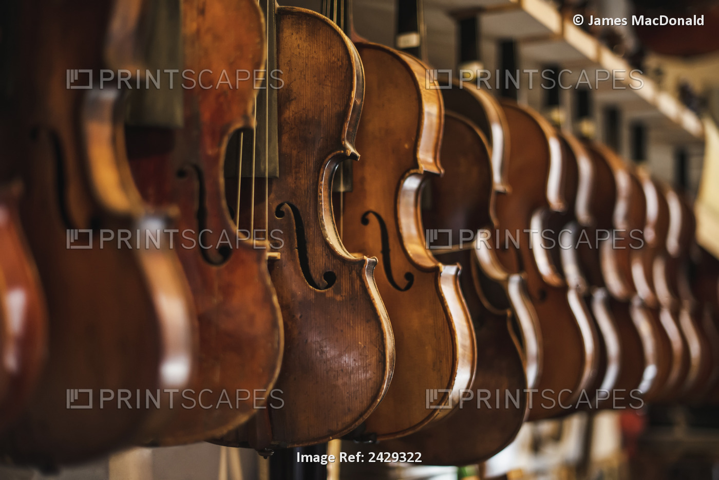 Repaired Violins And Violas On Racks In The Sound Post Repair Shop; Toronto, ...