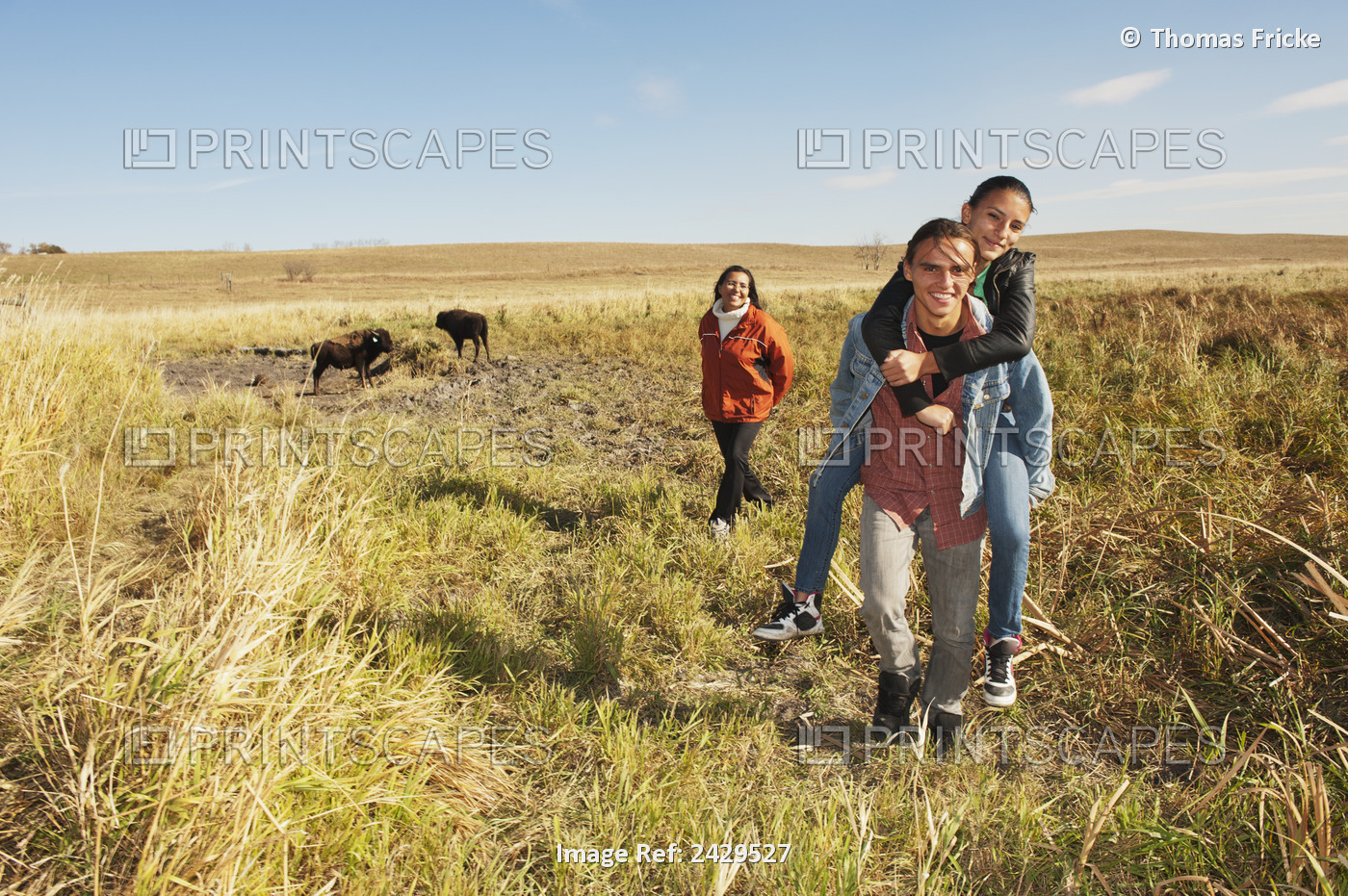 Native American Family Walking Through A Buffalo Ranch; Rossburn, Manitoba, ...