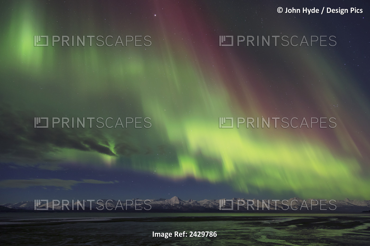 Scenic View Of Northern Lights Over The Chilkat Mountains, Eagle Beach State ...