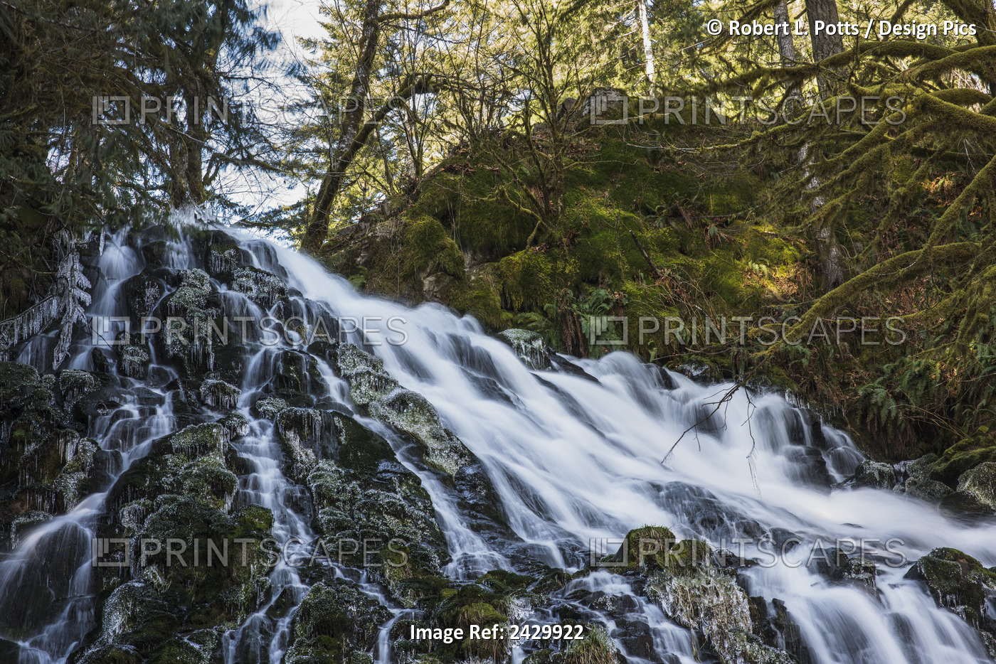 Fishhawk Falls, Lee Wooden County Park; Jewell, Oregon, United States Of America