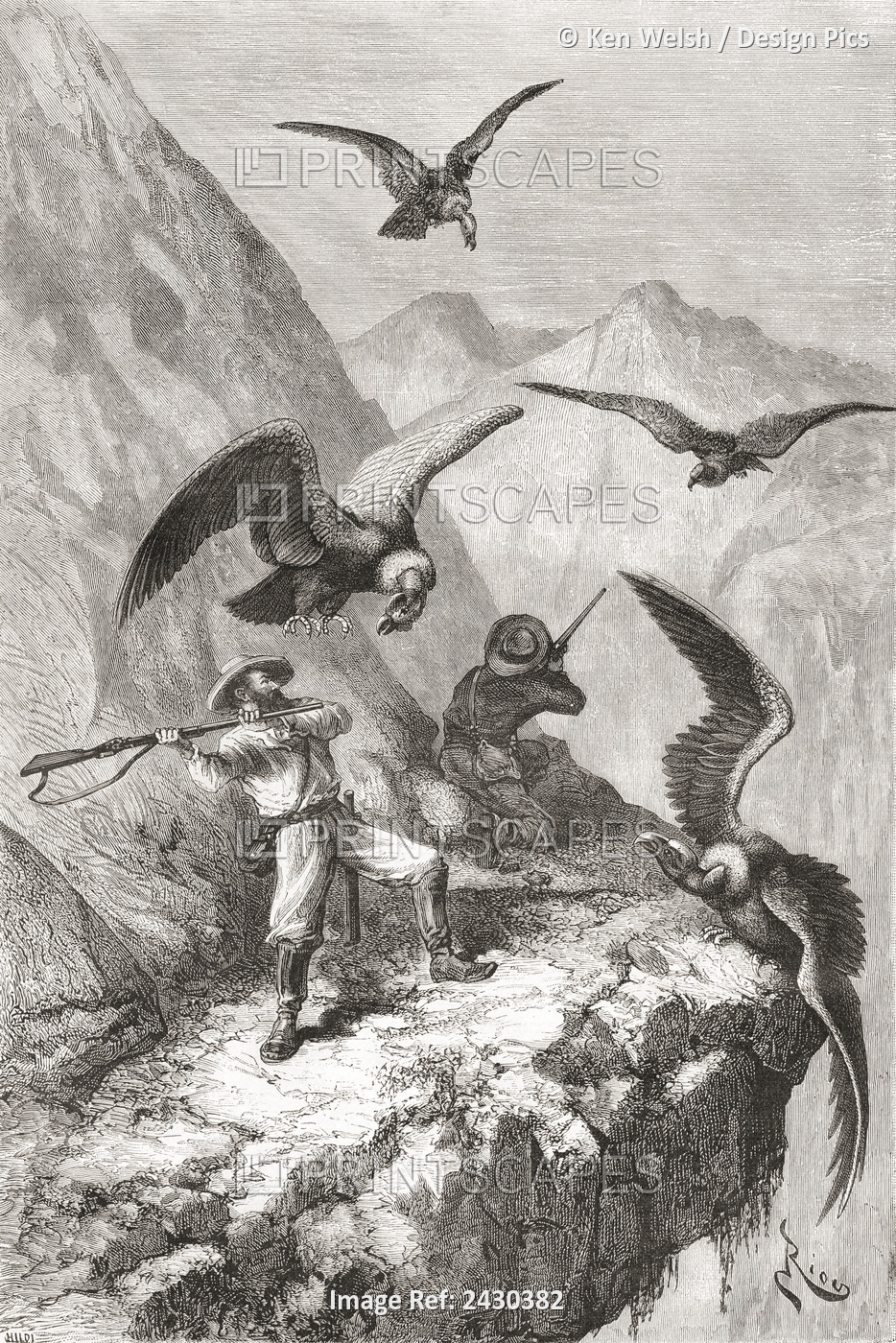 Édouard François André and his companion being attacked by condors near ...