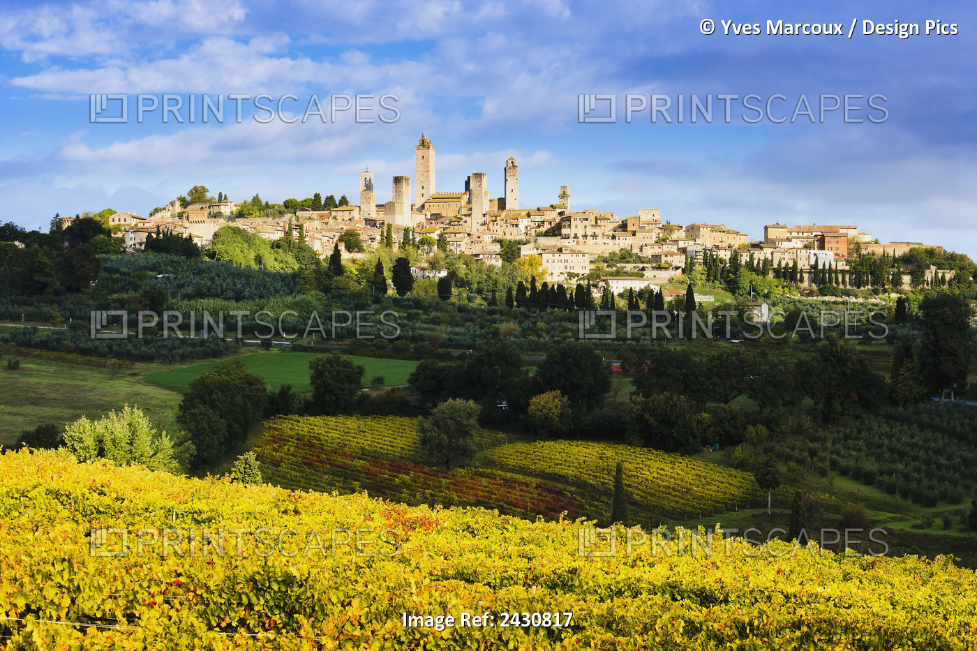 Vineyards And San Gimignano; Tuscany, Italy