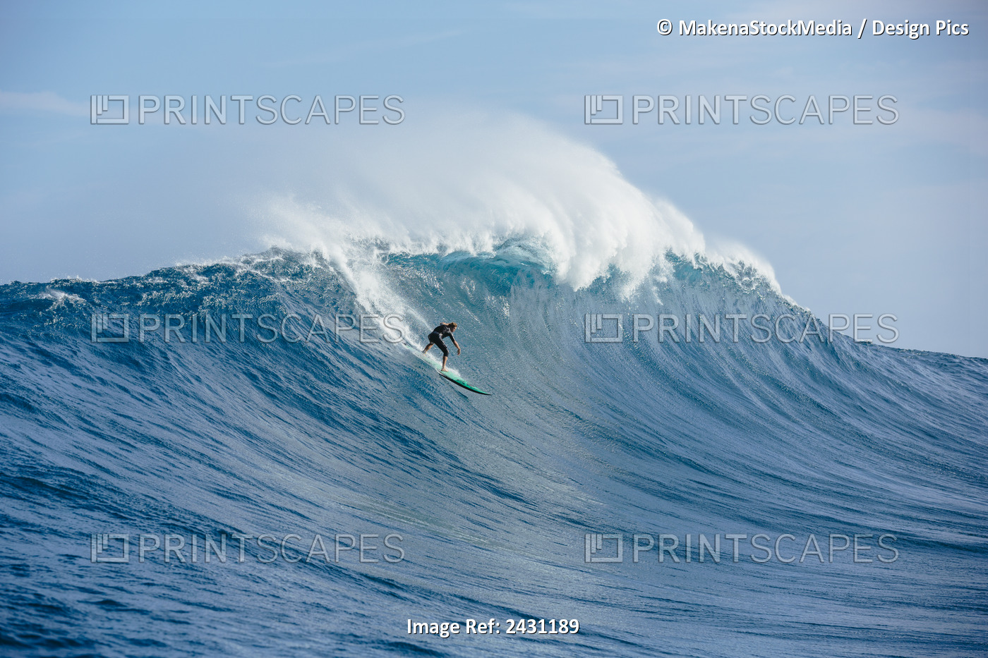 Professional Surfer On Large Wave At The Infamous Big Wave Spot Know As Jaws Or ...