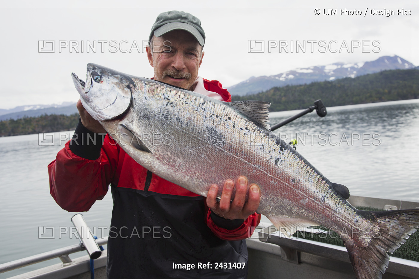 Success Catching King Salmon Near Homer, Kachemak Bay; Alaska, United States Of ...