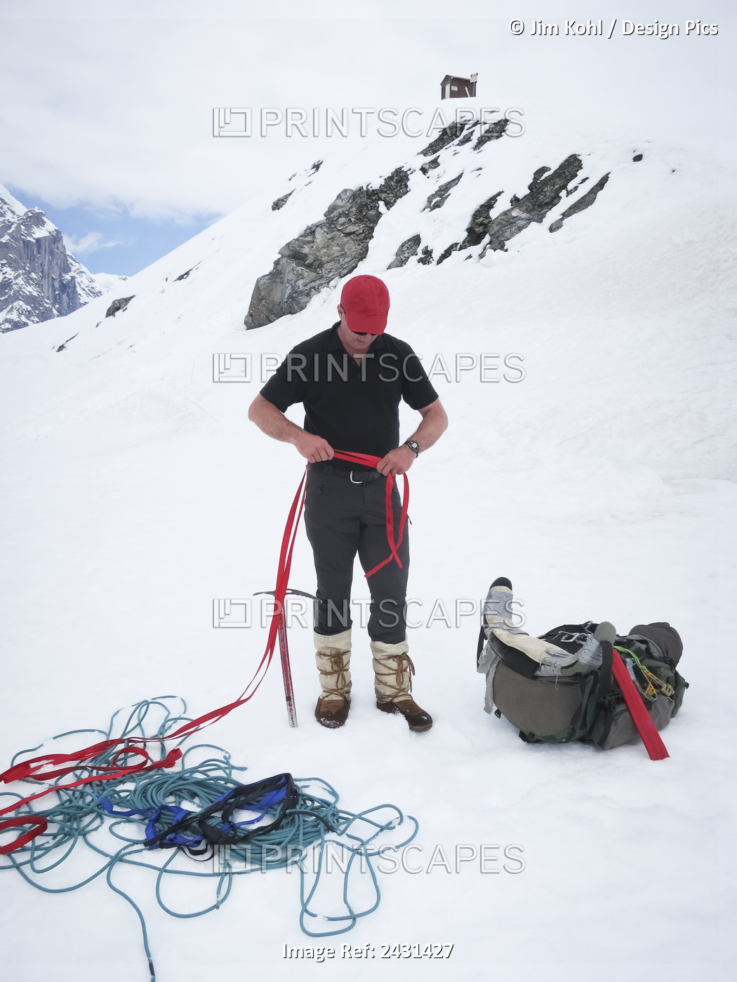 Man Rigging Up A Harness Near The Don Sheldon Mountain House, Interior Alaska ...