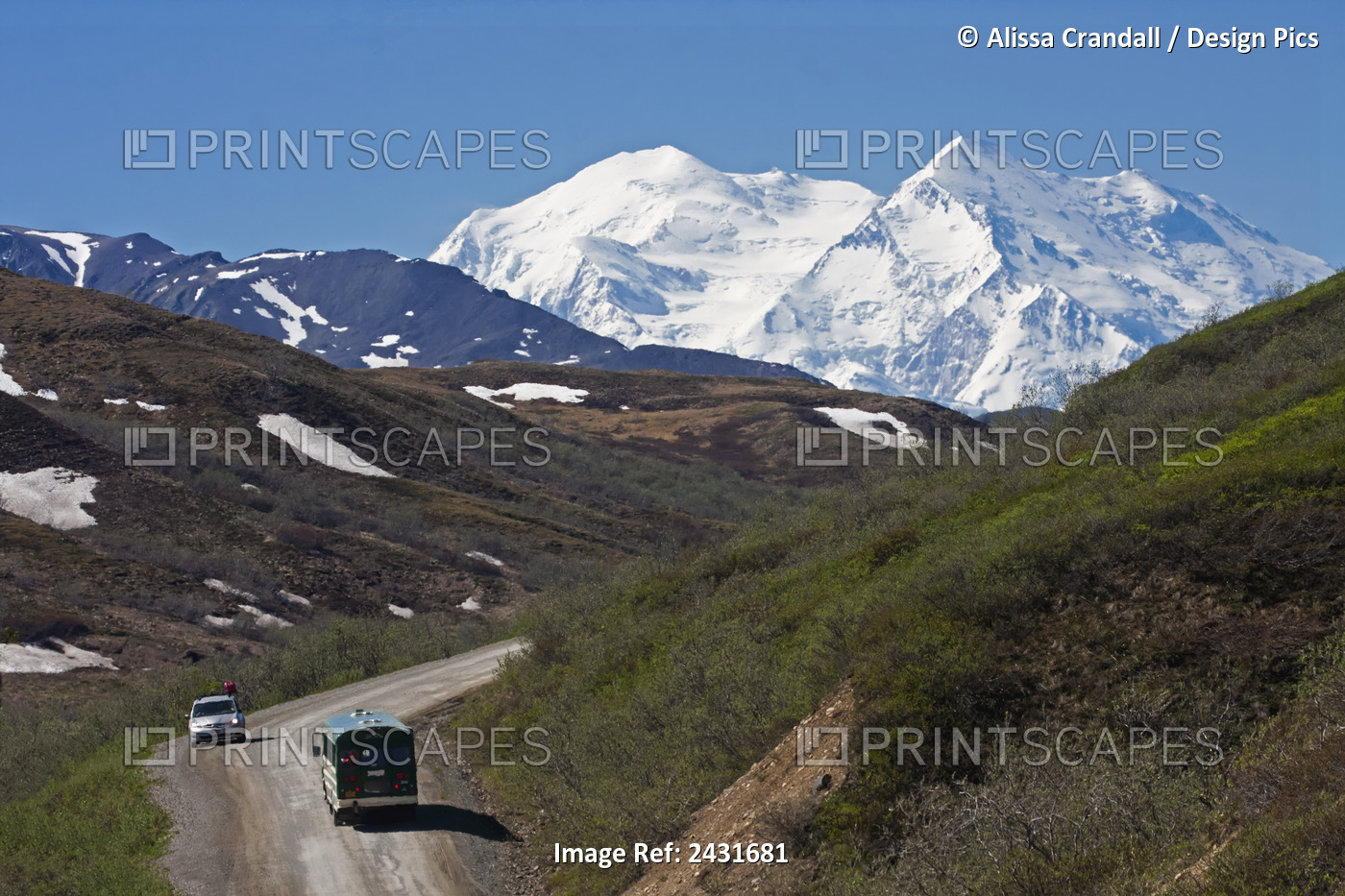 Scenic View Of The Park Road And Mt. Mckinley Near Toklat River, Denali ...