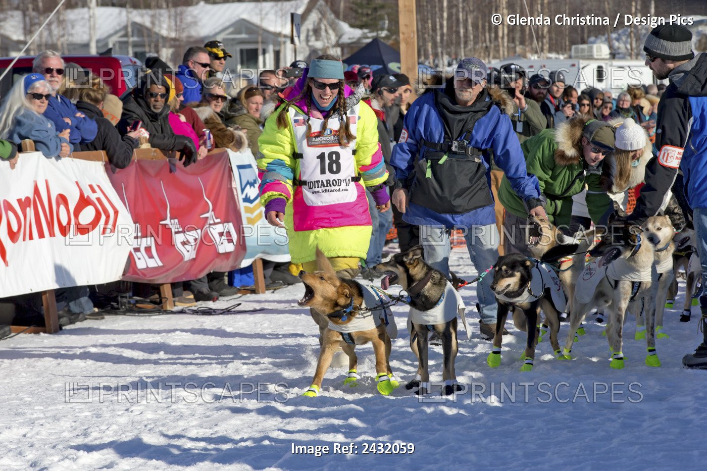 Monica Zappa Socializing With Her Sled Dogs At The Start Of The 2014 Iditarod ...
