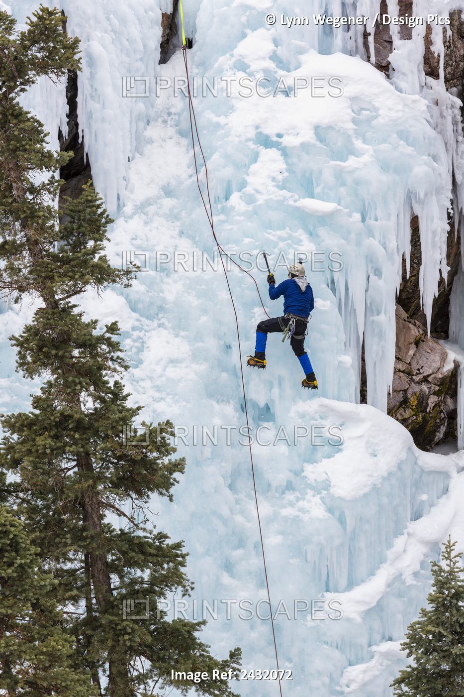 A Man Climbs Up An Ice Flow In The Ice Park At Ouray, Colorado, Winter, Usa.