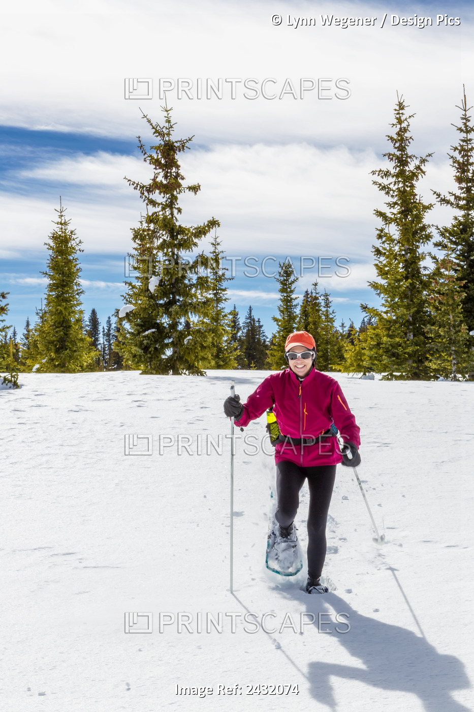 A Woman Snow Showing On Fresh Unbroken Snow On Grand Mesa On The Western Slope ...