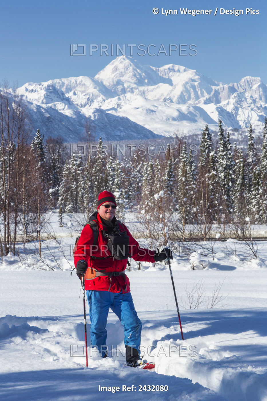 Man Snowshoeing With The Southside Of Mt. Mckinley In The Background, ...