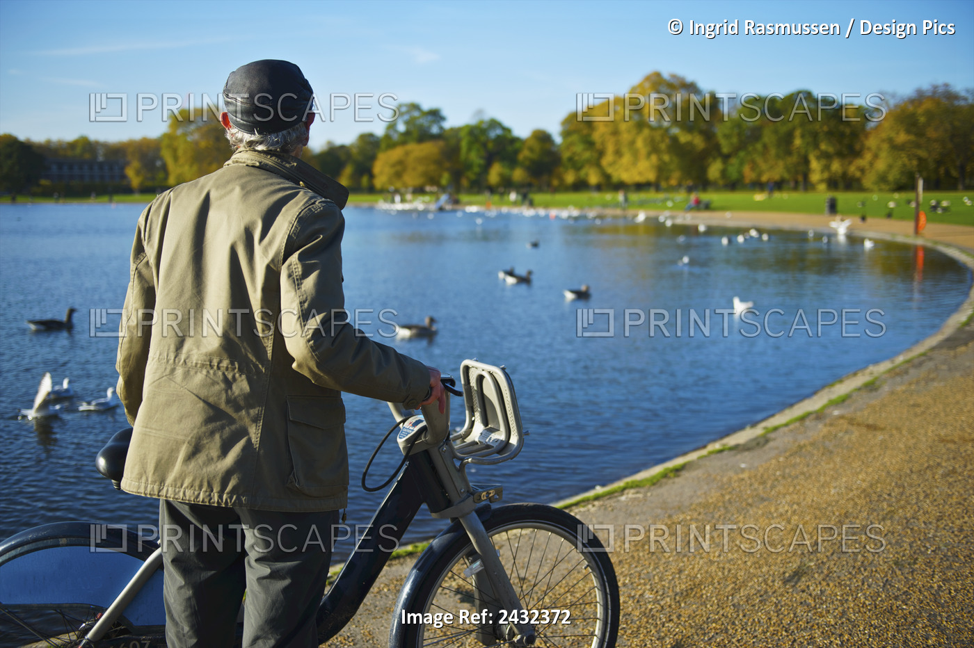 A Man Stands With His Bicycle On The Edge Of Serpentine Lake, Kensington ...