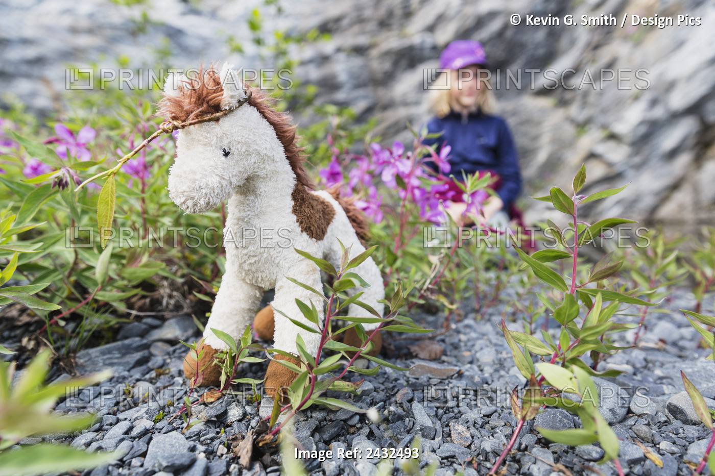 Stuffed Horse Sitting In Dwarf Fireweed (Chamerion Latifolium) Flowers Wih ...