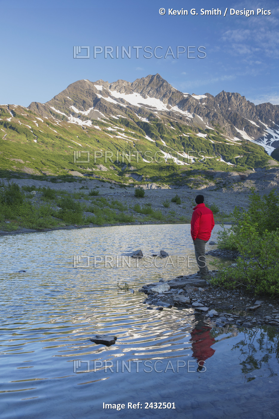 Man Looking Out At Melt Water Pond Glacier Moraine Vegetation Coming Back After ...