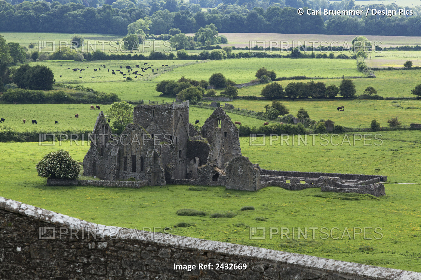 Hore Abbey Near Cashel; County Tipperary, Ireland