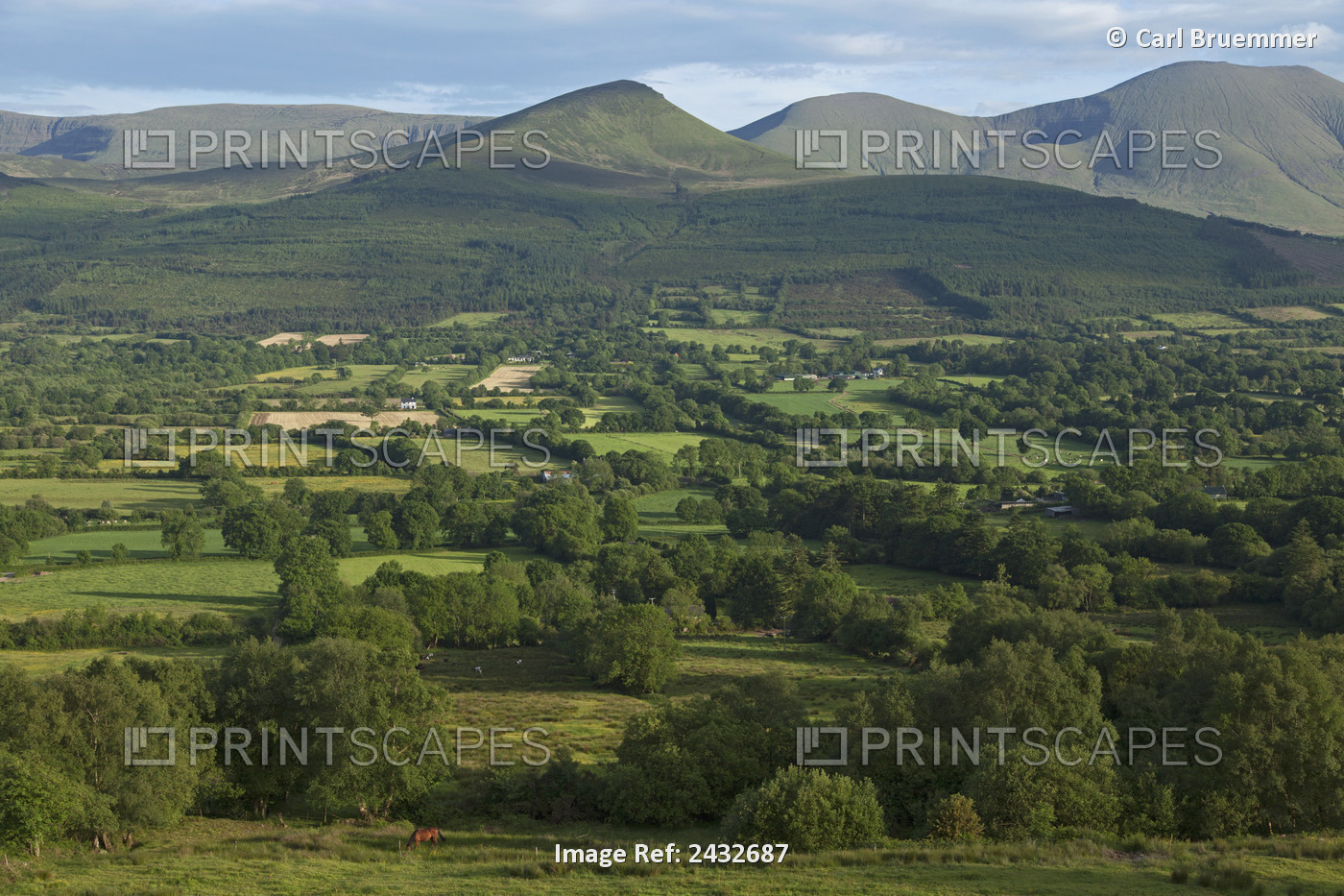 View From Glen Of Aherlow Towards Galtee Mountains; County Tipperary, Ireland