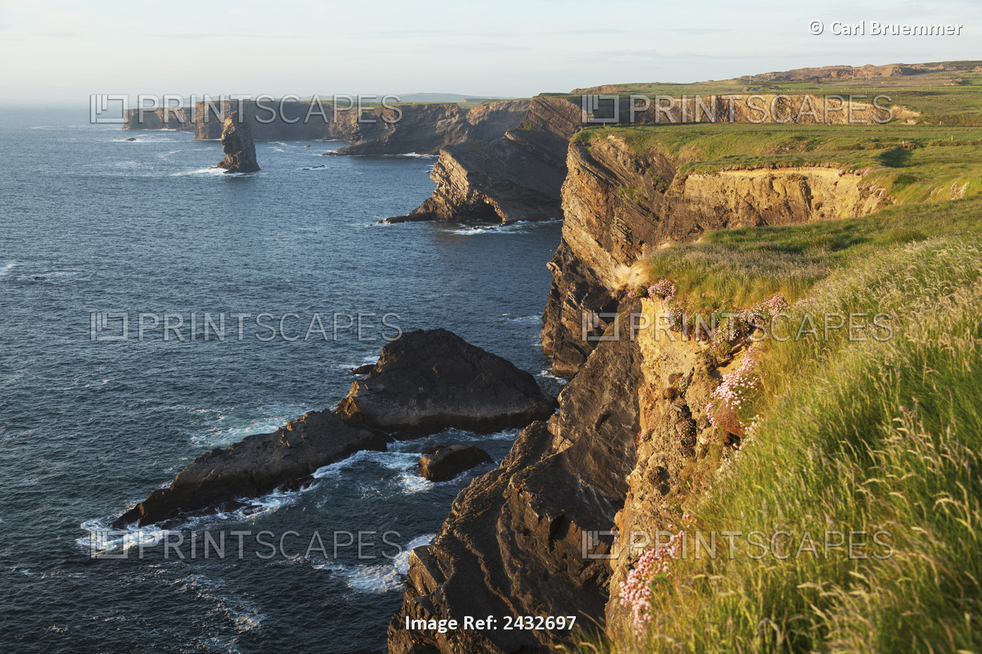 Coast South Of Kilkee; County Clare, Ireland