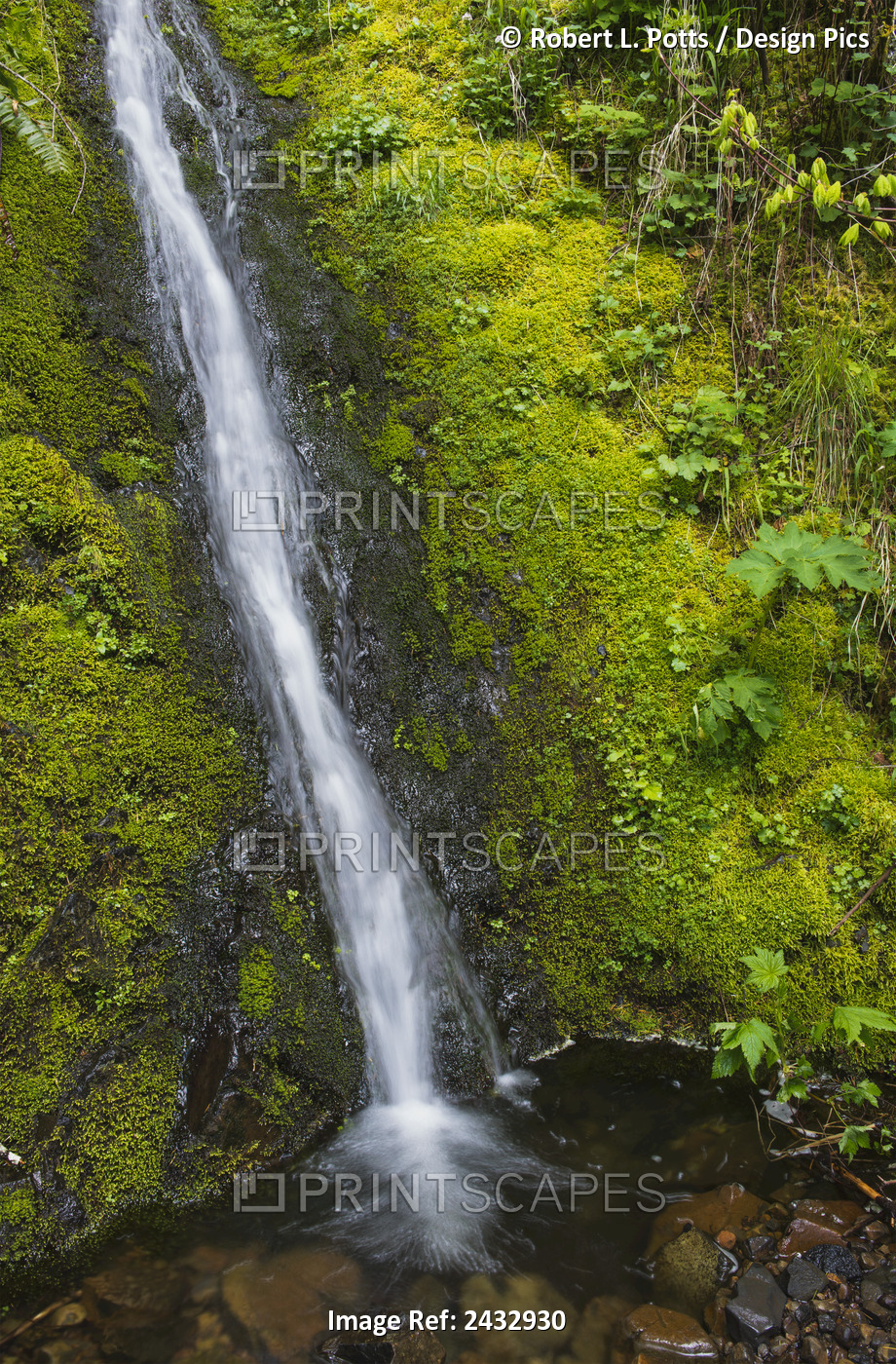 A Mountain Brook Cascades Down Saddle Mountain; Hamlet, Oregon, United States ...