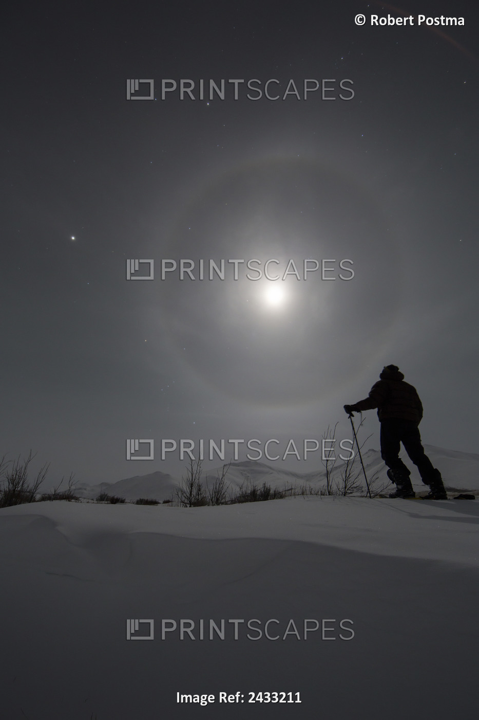 Man Snowshoeing Along The Dempster Highway Under A Moon Glowing With Rings; ...