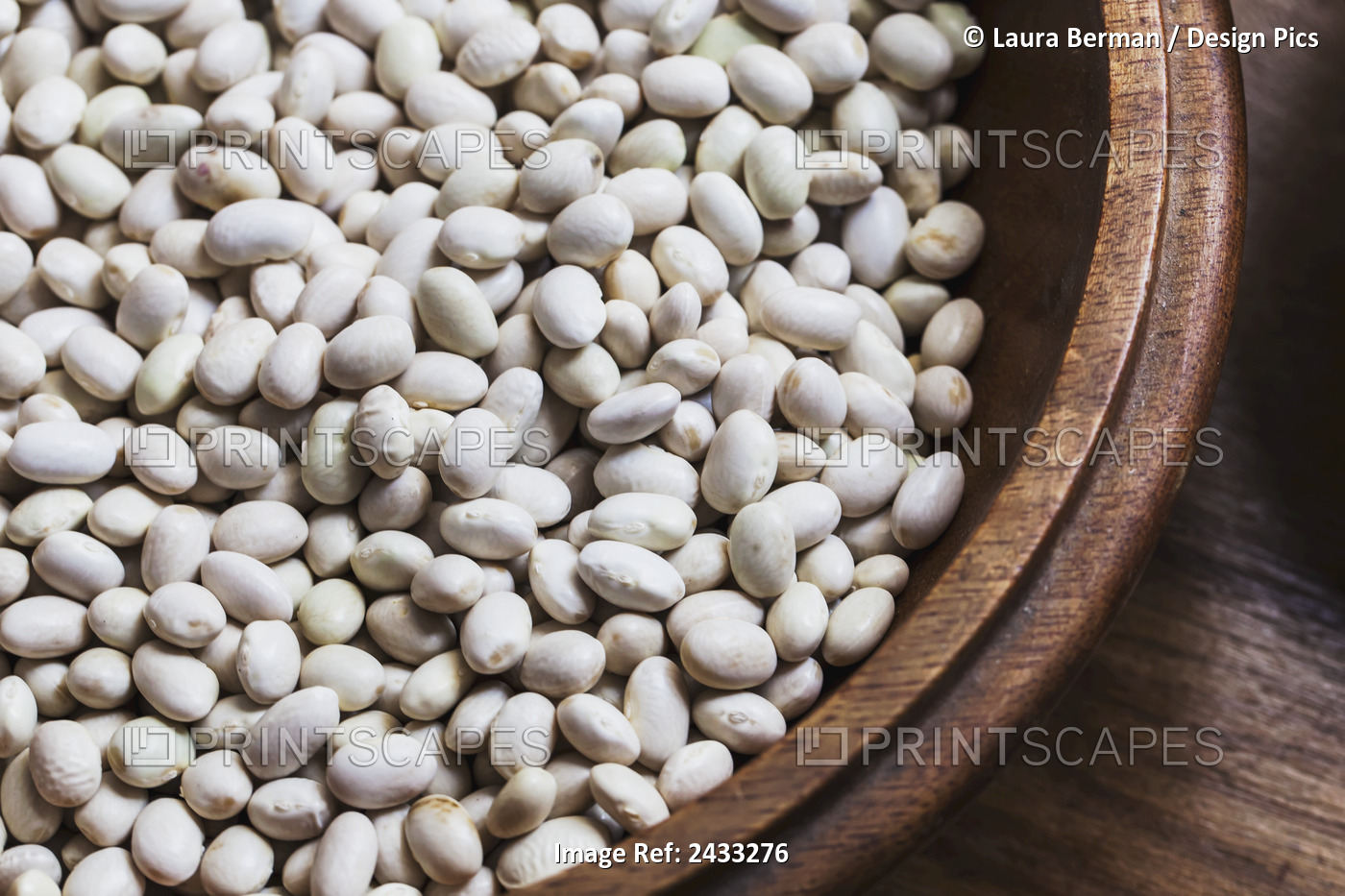 Dried, Heirloom 'badaluca' Beans; Toronto, Ontario, Canada